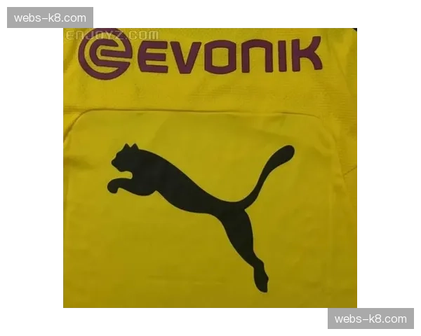 彪马成为德甲官方用球供应商，下赛季启用全新“德甲加速”用球